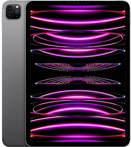 2022 Apple 11 iPad Pro (Wi-Fi + Cellular, 256 GB) - Space Grau (4. Generation)