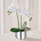 Avoeco Artificial Orchids in Pot, Real Touch, Artfully Crafted Phaleanopsis Bonsai, Faux Orchid, Fake Orchid Flowers White with a Silver Ceramic Vase, Perfect for Home, Office,Hotel Decor