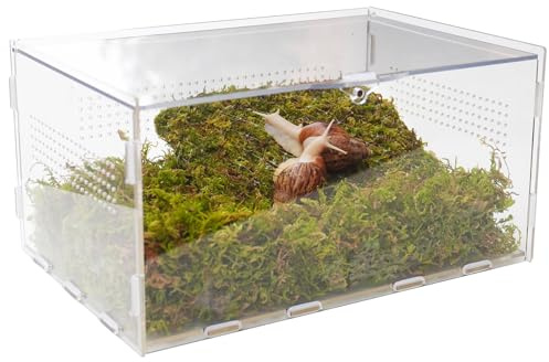 Jinymral Kit de terrarium pour escargots avec accessoires d'escalade - 29 x 20 x 15 cm (L x l x H) - Maison transparente pour petits animaux pour escargots, chenilles et petites créatures - Comprend