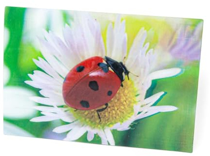 Cornelißen naTierliche Geschenke 3 D Ansichtskarte Marienkäfer, Postkarte Wackelkarte Hologrammkarte Tier Blüte Glücksbringer