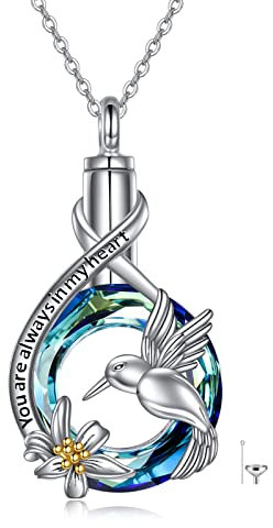 YAFEINI Kolibri Urnenketten für Asche Silber 925 Kolibri Anhänger zum Befüllen Urnen für Menschen Asche Schmuck Damen