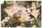 ARTLAND Wanddeko Poster & Kunstdrucke Wandposter Tiere exotische Pflanzen Blumen Leopard Tukan Dschungel Vintage U5HB