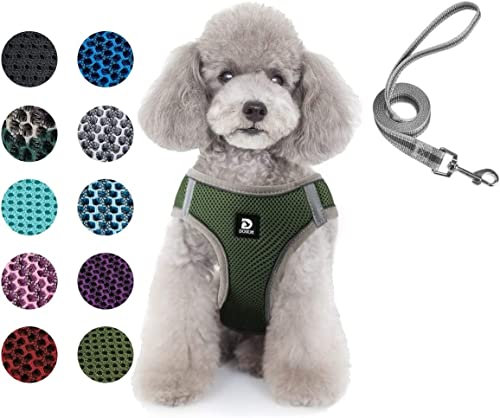 Hundegeschirr Set mit Leine für kleine Hunde - Brustgeschirr ausbruchsicheres Katzengeschirr Welpengeschirr Step-In Geschirr für kleine Hunde, Welpen, Katzen S Armeegrün