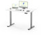 FLEXISPOT Höhenverstellbarer Schreibtisch mit 2 Motoren & 25MM einteiliger Tischplatte,ergonomischer Bürotisch - 120 x 80 cm Weiß, graues Gestell