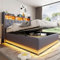 PUGSDRLY Lit Double avec Rangement,Sommier 160x200cm Lit,Lit Coffre avec Lumières LED à Couleurs changeantes et Prise USB,Lit Adulte,Design Moderne et Fonctionnel,sans Matelas (Gris, 160x200)