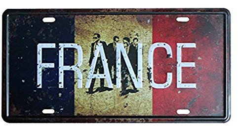 Shinewe Plaque d'immatriculation de la France - Vintage - Décoration murale - Garage - 15 x 30 cm
