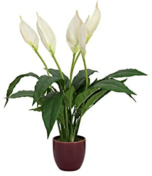 EUROPALMS Einblatt, Kunstpflanze, 60cm | Immerblühende Zimmerpflanze im Keramiktopf