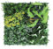 Hasaller verde artificiale quadrato tappetino decorazione parete casa pianta finta plastica prato paesaggio festa matrimonio foto puntello 50 x 50 cm (3)