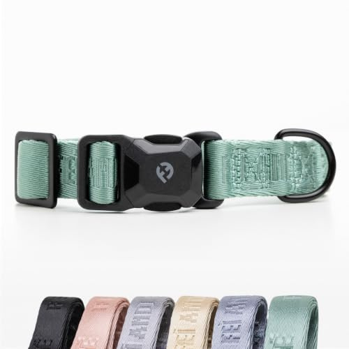 Fei & Eve MagEase Dog Collar, Magnetic Buckle, Soft & Fur-Friendly | 210D Nylon, Heavy Duty, Medium (Glacier Green)