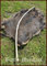 Battle-Merchant Wikinger Langbogen, 70 Zoll Hellbraun, inklusive Sehne - 15-105 lbs - Mittelalter - LARP - Wikinger Bogen (70 lbs)