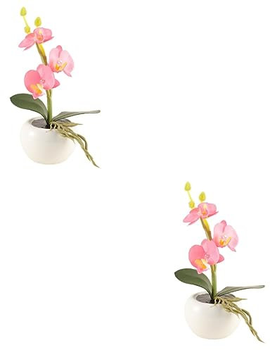 HOMSFOU 2 STK Garten Blumentopf Orchideenlampe Fälschung Led-blumenlicht Blumentopf Licht Blumen Anzünden Orchidee Herzstück Led-schreibtischlampen Blumenlichter Nachttischlampe Künstlich