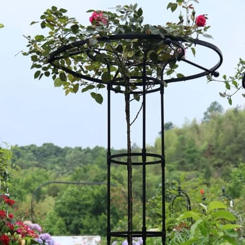 WENNEWU Schirm Spalier Turm, Gartenspalier FüR Kletterpflanzen, Metall Ranken PflanzenstüTze, Rostfrei, FüR Topfpflanzen, Dekorative GemüSe- Und Blumenranken,Schwarz,120CM