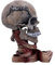 Nemesis Now Tête de Mort Metallica sous Licence Officielle Crème 23,5 cm