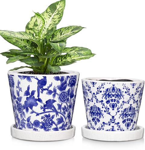 Oairse 2 Stück Blumentopf Keramik Pflanztöpfe Runde Sukkulentententöpfe mit Drainagelöchern und Untersetzern Kleiner Keramik-Pflanztopf für Sukkulenten Kaktus Indoor Outdoor Garten Home Fensterbank