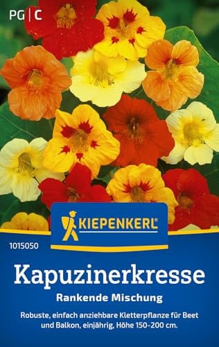 Kiepenkerl Kapuzinerkressesamen Rankende Mischung 1015050 - Blumensamen für robuste Kletterpflanzen mit einer Wuchshöhe von 150 bis 200 cm - Saatgut, Pflanzen