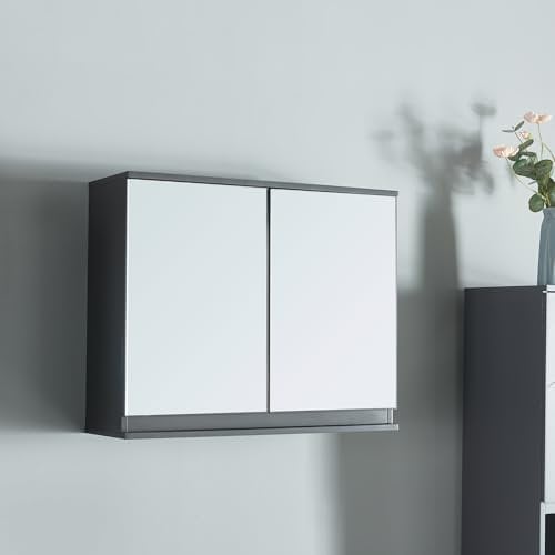 [en.casa] Spiegelschrank Bad Overath Badezimmerschrank Badschrank mit 2 Türen Medizinschrank 60 x 20 x 50 cm Badezimmer Spiegelschrank hängend Hängeschrank Aufbewahrungsschrank Grau