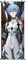 CosplayStudio Neon Genesis Evangelion Rollbild | Kakemono aus Stoff | Poster 100x40cm | Motiv: Rei Ayanami