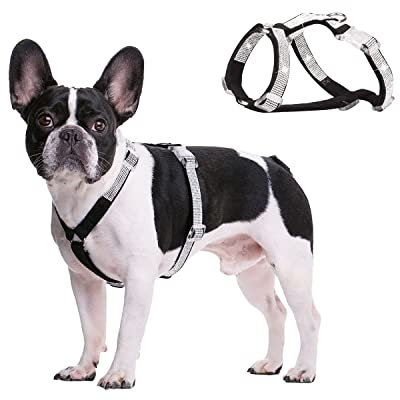 BT Bear Hundegeschirr, glitzernde Strasssteine, verstellbar, sichere Schnalle, Haustiergeschirr für Katzen, kleine Hunde, mittelgroße Hunde (schwarz, M)