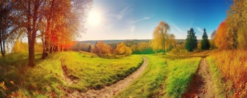 Wolf Malen Nach Zahlen Erwachsene Groß 60x180cm, Malen Nach Zahlen Traumfänger Paint by Numbers DIY Ölgemälde Leinwand Bastelset für Anfänger Kinder Mädchen Geschenk, Home Deko，（Ohne Rahmen）-Z817