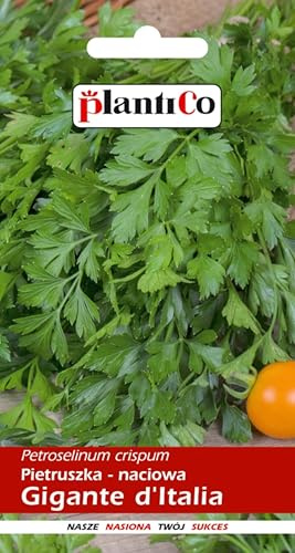 PlantiCo Gigante d'Italia Perejil 5g Semillas Hortalizas Robustas Semillas Semillas de Cultivo Huerto de Invernadero