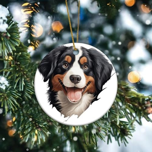 Peeking Berner Sennenhund, Weihnachtsschmuck, Geschenk für Hundemutter, rund, hängende Ornamente, Keramik, einzigartige Hunde- und Katzenliebhaber, Tier-Weihnachtskugel, Geschenk für Innenräume
