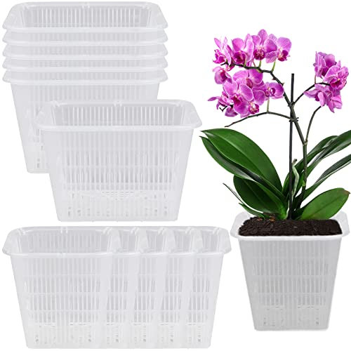 Set di 12 vasi per orchidee trasparenti, in plastica con intaglio quadrato, traspirante, con foro di drenaggio, orchidee, vasi decorativi per piante di orchidee in interni, 2 dimensioni
