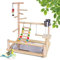 Holzsammlung Bird Playground, Wooden Parrot Stand Bird Play Stand, Parrot Perch Stand with Ladder, Bird Play Gym Toy Cage Accessories for Small Middle Parakeets Cockatiels Finches Budgie Lovebirds