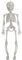 Halloween Skelett Deko - Hängende Dekorationen, 28cm Mini Figuren, Menschliches Skelett für Friedhof Szene Prop