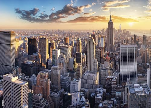 BEDUKE Puzzle 1000 Teile für Erwachsene 1000 Teile Puzzle New York City Dick Stabil Präzise Ineinandergreifend Alter 14+ Familienspiel