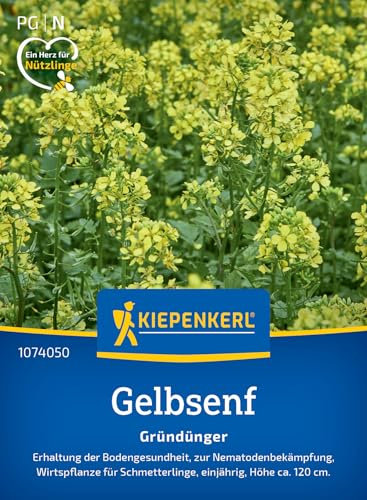Kiepenkerl Gelbsenfsamen Weißsamiger Senf 1074050 – Erhaltung der Bodengesundheit und zur Nematodenbekämpfung - circa 120cm hoch - Wildblumensamen, Blumenwiese