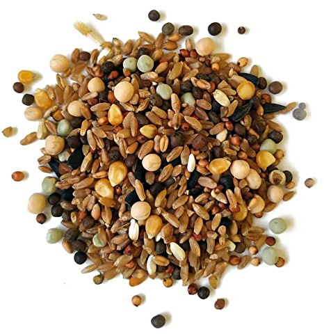 Alimento para Palomas, perdices, gallinas, Gansos, faisanes y Otras Aves de Granja o de compañía. Semillas Naturales Sunseed 3 Kg