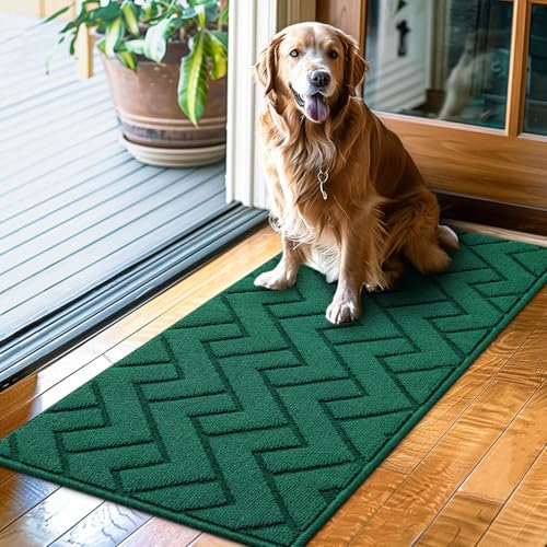 Biscpro Fußmatte Innen Außen Waschbar eingangsteppich innen Schmutzfangmatte rutschfest,Türmatte Innen Teppich für Eingang, Patio, Flur, Garten, Innen und Außen (Evergreen, 50 * 120 cm)