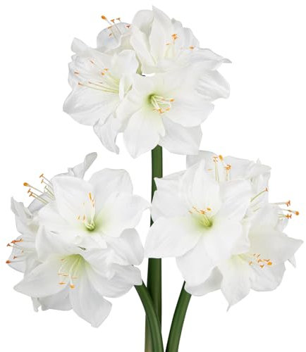 Oairse 3er-Set Kunstblumen Clivia mit 4 Blütenköpfen Seidenblumenstrauß für Weihnachten, Zuhause, Tischdekoration, Hochzeitsfeier-Arrangements, Esstisch-Mittelstück, Neujahrs-Ornamente, Weiß