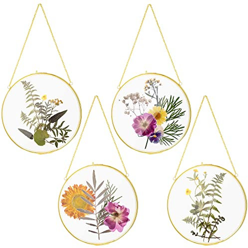 Qunclay 4 Stück Doppelglasrahmen für gepresste Blumen, rund, zum Aufhängen, Herbarium, schwimmende Blumenpresse, Rahmen, transparent, DIY, Vintage-Kunstwerk-Display-Halter