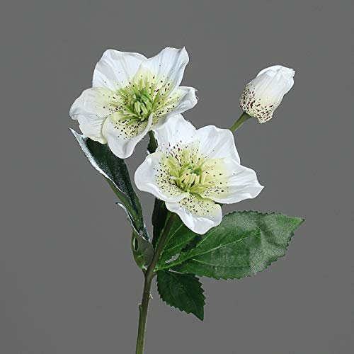 Seidenblumen Roß Christrose 34cm Creme-weiß DP Kunstblumen künstliche Blumen Christrosenzweig Helleborus