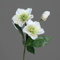 Seidenblumen Roß Christrose 34cm Creme-weiß DP Kunstblumen künstliche Blumen Christrosenzweig Helleborus