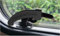 3D-Druck Camper Fenstersicherungen in Schwarz/Einbruchschutz/Verriegelung für Dometic Seitz Fenstergriff/Fensterhebel Wohnmobil- und Wohnwagenfenster (Typ 5, 2er Set Links)