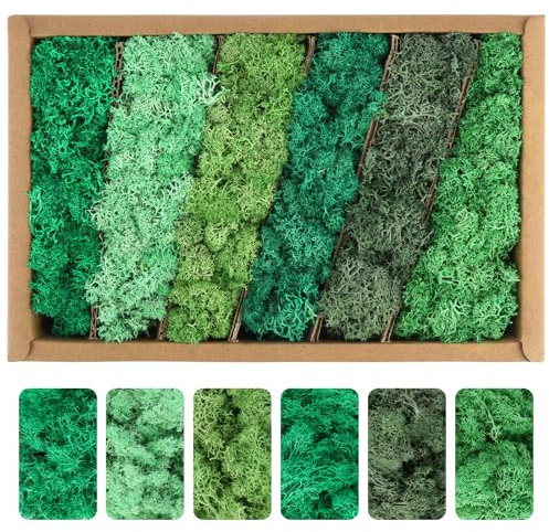 XIEJ 240g Islandmoos, Moos zum Basteln In 6 Versch Farben, Haltbares Kunstmoos zum Dekorieren, Weiches Künstliches Moos, Konserviertes Bastelmoos für Moosbilder, Modellbau