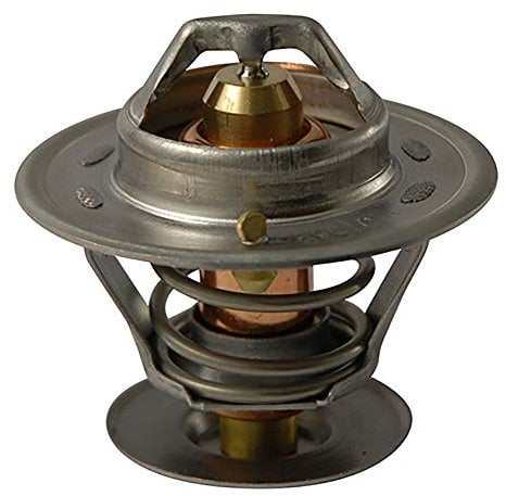 FAE 5309592 Thermostate