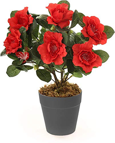 Best Artificial Azalee Pflanze, 27 cm, Topf nicht im Lieferumfang enthalten (rot)