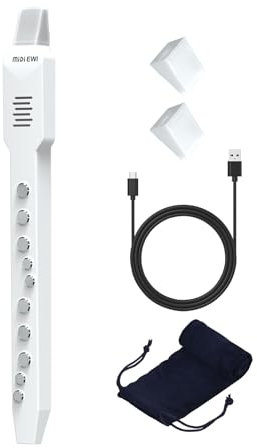 OYAYO Digital Wind Instrument, Mini Electronic Wind Instrument Set with Removable Nozzle and Rechargeable Battery, Built-in 10 Musical Instrument Tones (white)