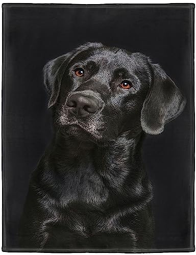 Zomer Kuscheldecke Flauschig Decke 150x200 cm Wohndecke Couchdecke Mikrofaser Sofaüberwurf Tagesdecke weiche warme Sofadecke mit Labrador Schwarz Motiv