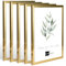 5x Kunststoffrahmen modern Bilderrahmen Fotorahmen gradlinig Gold 21 X 30 cm (DIN A4)