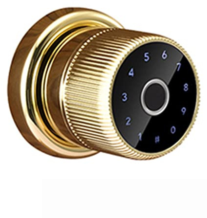 Lock Biometric Electronic Digital Keypad Zinc Knob Fingerprint Smart Cylinder Door Lock(Gold)