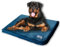Giesty Hundedecke, Haustier Decken kuschelweich, Decken für Hunde Wasserdicht, maschinenwaschbar, beidseitiger Sofabezug-Schutz (Blau, XXL (203x148cm))