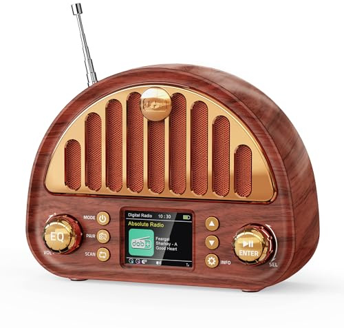 Mesqool Tragbares DAB+/UKW Radio, Retro Radio mit Bluetooth 5.0, Nostalgie Radio Klein mit 3000mAh Akku und Farbdisplay, EQ-Soundeffekt, 80 Voreinstellungen, TF/AUX Anschluss, Doppelwecker