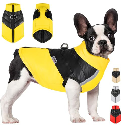 YOUYIKE Hundemantel für Hunde, Hundekleidung, Hundemantel Wasserdicht Hundejacke Winter Warme Jacke für Kleine Mittelgroße Hunde Hundebekleidung Warm Haustier Kleidung für Kaltes Wetter (Gelb, L)