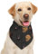 Halstuch für Hunde mit Labrador-Labor-Motiv, Schwarz / goldfarben, Schokoladenbraun