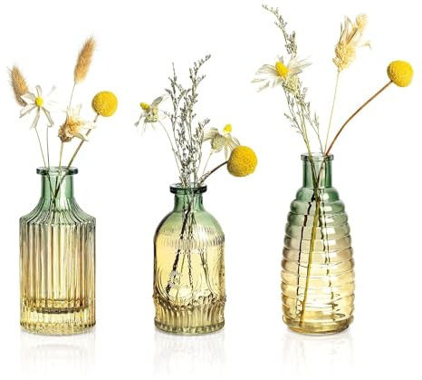 Ekhasa 100% Crystal Clear Glass Bud Vases Flower Pots for Home Decoration (Set of 3) | Center Table Mini Decorative Items | Transparent Glass Vase for Water Plants | Glass Planters for Indoor Plants