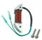 UQXJK Lichtmaschine 3B2-06123, kompatibel mit 2-Takt-8-PS-9,8-PS-Außenbordmotoren Kompatibel mit Pa-rs-un H-id-ea HDX-Modelle 3B2-06123-1 3B2061231 M8/9,8B